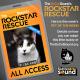 KCSN RockstarRescue PotW 100125 IG SQUARE 1080x1080