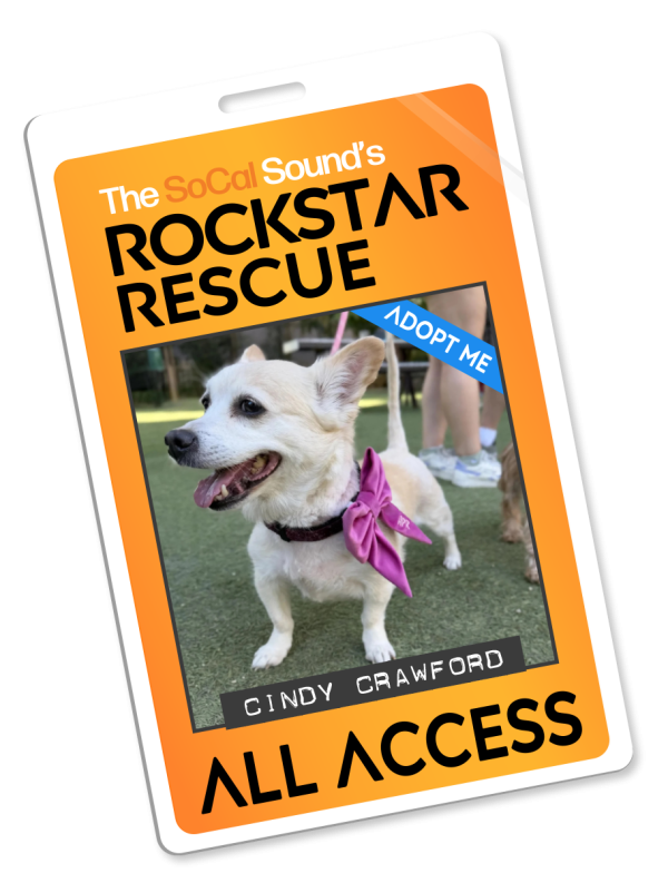 KCSN RockstarRescue PotW 031826 Pass