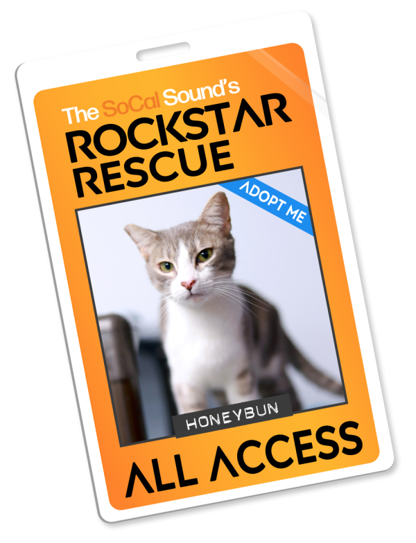 KCSN RockstarRescue PotW 040826 Pass