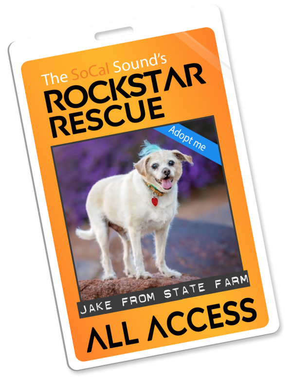KCSN RockstarRescue PotW 091725 4 Pass4