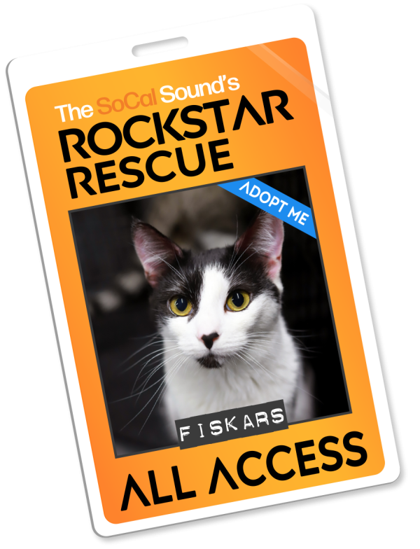 KCSN RockstarRescue PotW 100125 4 Pass