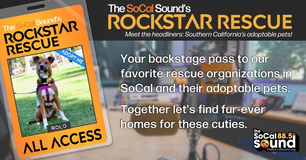 KCSN RockstarRescue PotW 021826 CreateOutlines FACEBOOK 1200x631