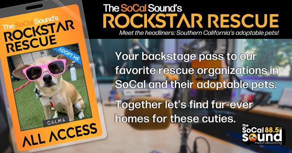 KCSN RockstarRescue PotW 060326 CreateOutlines FACEBOOK 1200x630