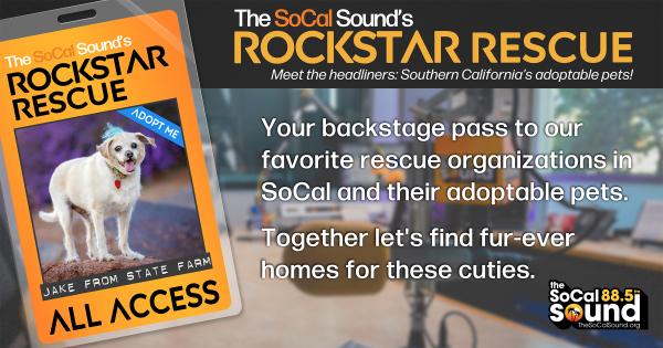 KCSN RockstarRescue PotW 091725 1 1200x631
