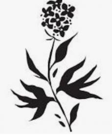 Bloom Restaurant & Bar - $60 Gift Card